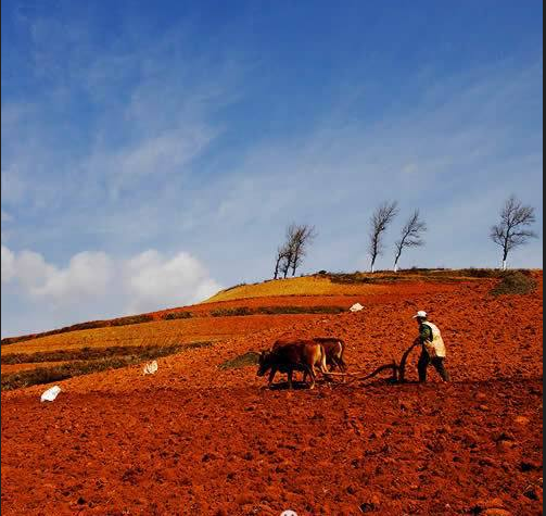 易游(中国)易游网官网