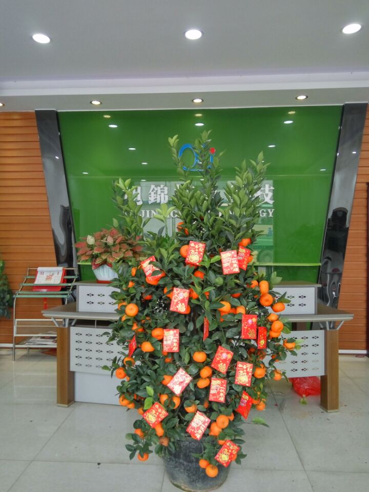 易游(中国)易游网官网——大吉大利